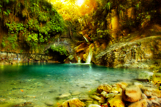 Charcos de Damajagua: ¡Sumérgete en una Aventura Acuática Inolvidable!