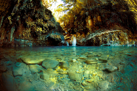 Charcos de Damajagua: ¡Sumérgete en una Aventura Acuática Inolvidable!